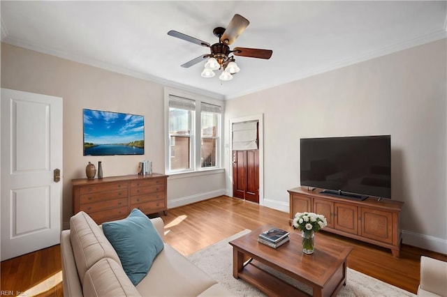 living room with crown molding, ceiling fan, and light hardwood / wood-style floors