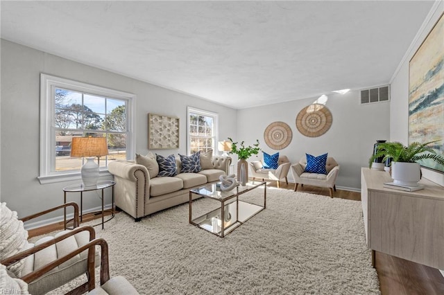 living room featuring hardwood / wood-style floors