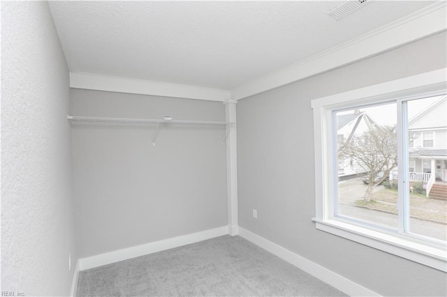 interior space featuring a closet and carpet