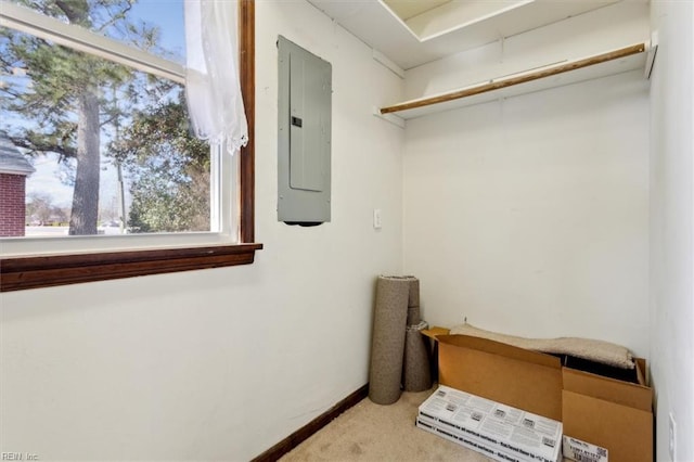 walk in closet featuring carpet and electric panel