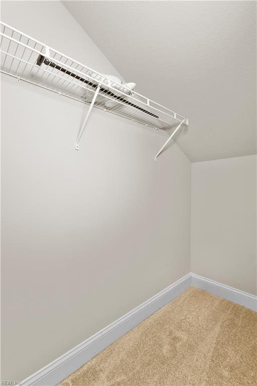 spacious closet featuring lofted ceiling and carpet floors