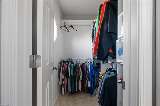 spacious closet with carpet floors