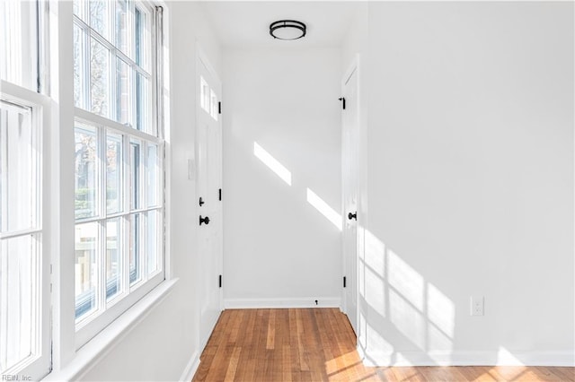 doorway to outside featuring hardwood / wood-style flooring