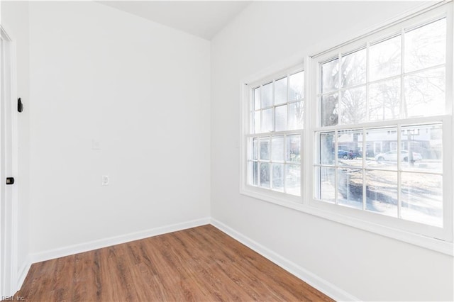 empty room featuring wood-type flooring