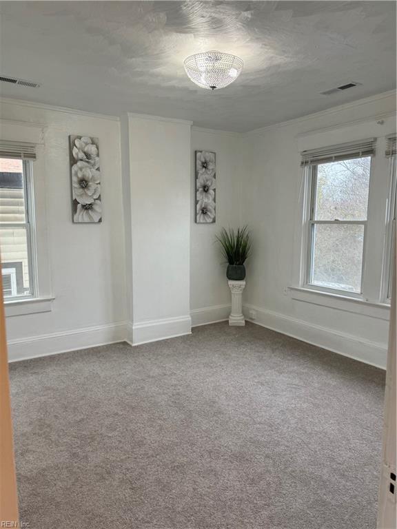 empty room featuring ornamental molding and carpet