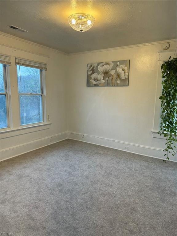 spare room with ornamental molding, a textured ceiling, and carpet