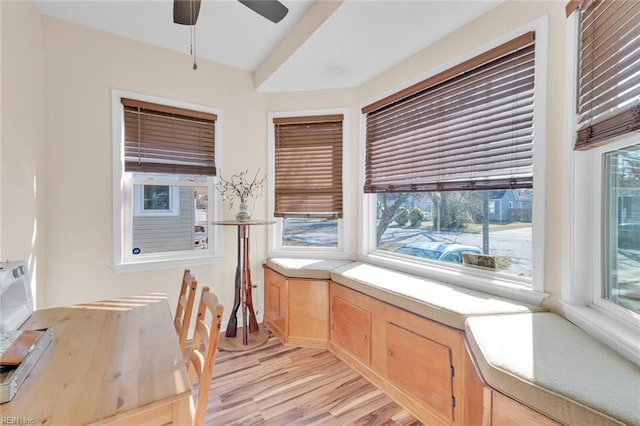 interior space with ceiling fan