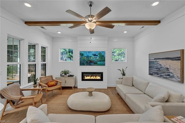 living room featuring ceiling fan, beam ceiling, and light hardwood / wood-style flooring