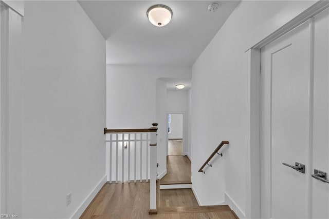 staircase featuring hardwood / wood-style flooring