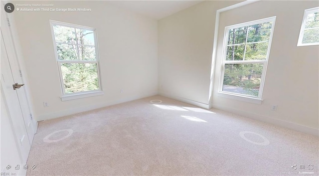 empty room with light colored carpet and a healthy amount of sunlight