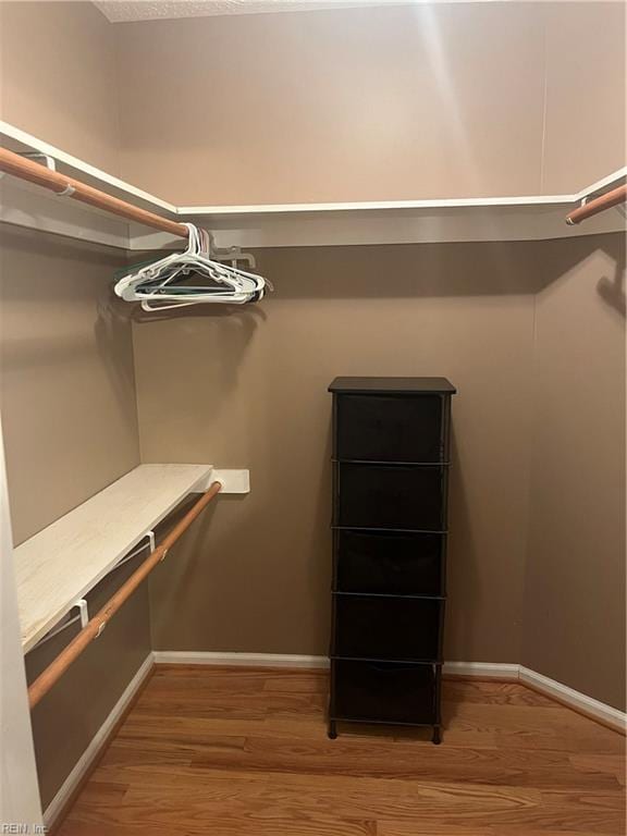 spacious closet featuring hardwood / wood-style flooring