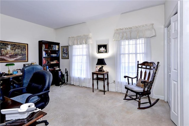 office featuring plenty of natural light and light carpet