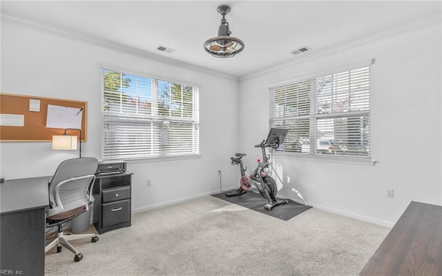 carpeted home office with crown molding