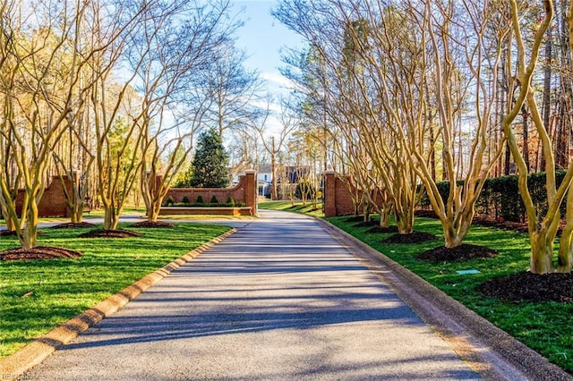 view of property's community featuring a yard