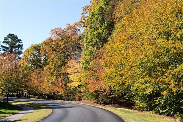 view of road