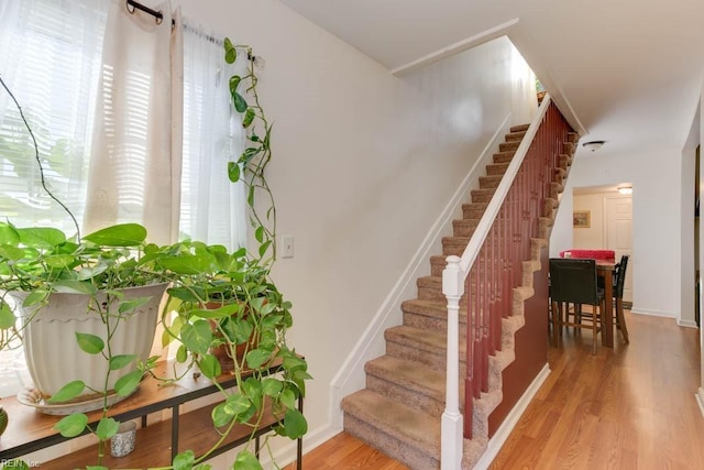 stairs with hardwood / wood-style floors