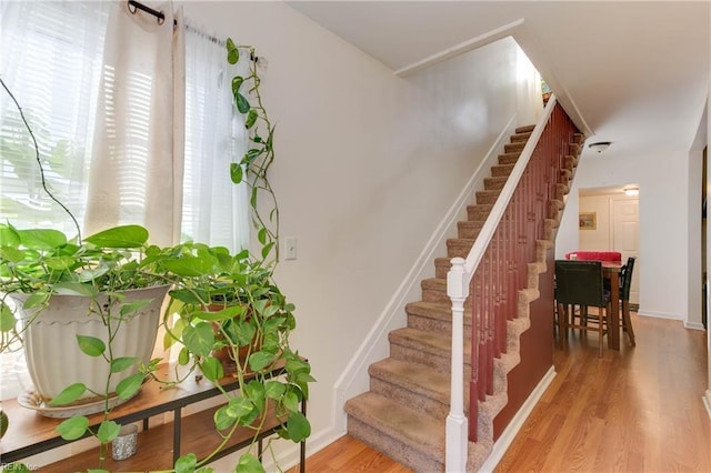 staircase with wood-type flooring