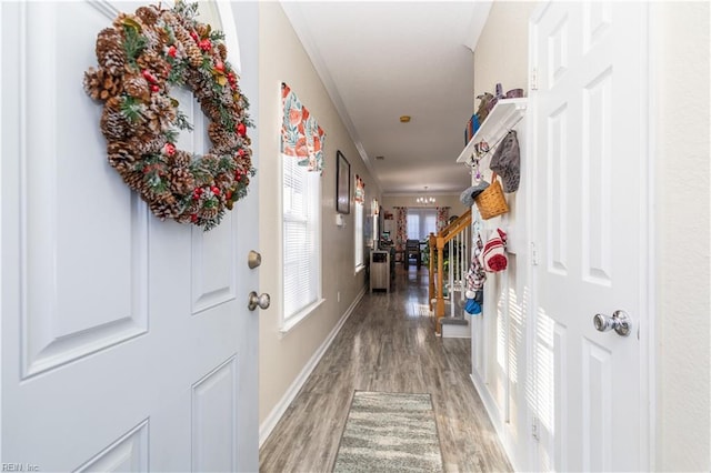 hallway featuring crown molding and light hardwood / wood-style floors