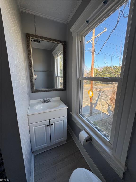 bathroom with vanity, wood-type flooring, and ornamental molding