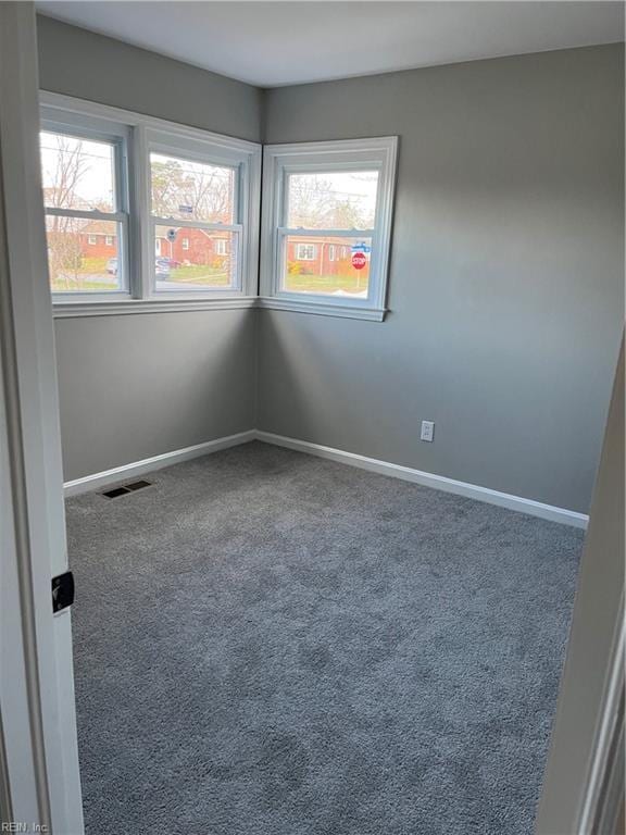 carpeted empty room featuring a wealth of natural light