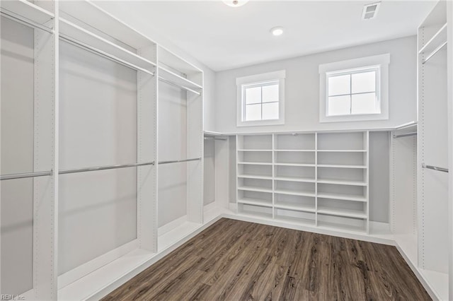 walk in closet with dark hardwood / wood-style flooring