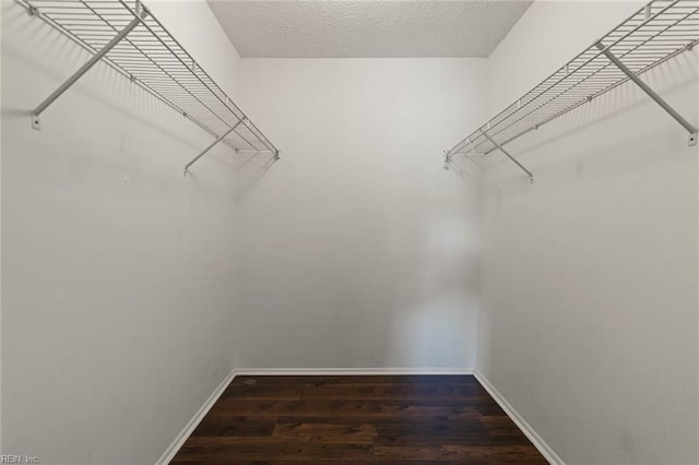 spacious closet featuring dark hardwood / wood-style floors