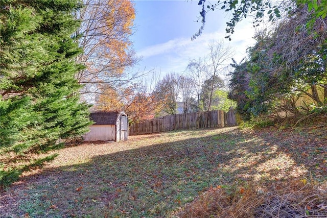 view of yard featuring a storage unit