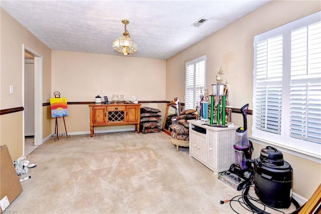 miscellaneous room with light colored carpet and a textured ceiling