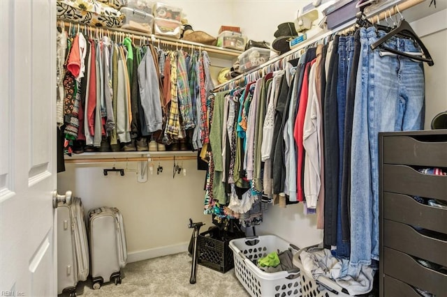 view of spacious closet