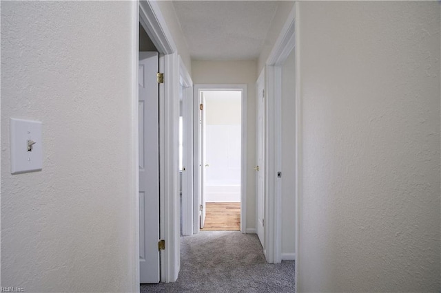 corridor with carpet