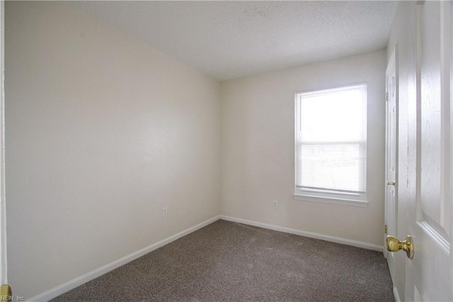 unfurnished room with carpet