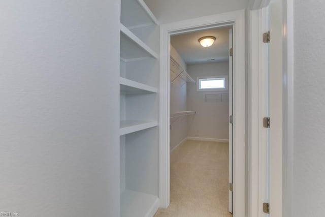 walk in closet with light colored carpet