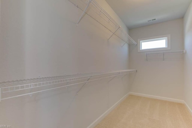 spacious closet featuring light carpet