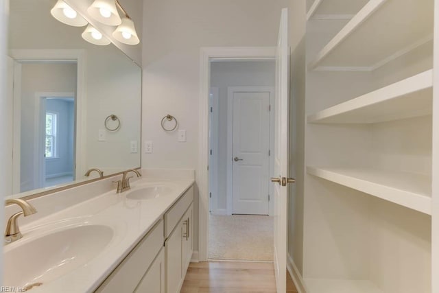 bathroom with vanity and wood-type flooring