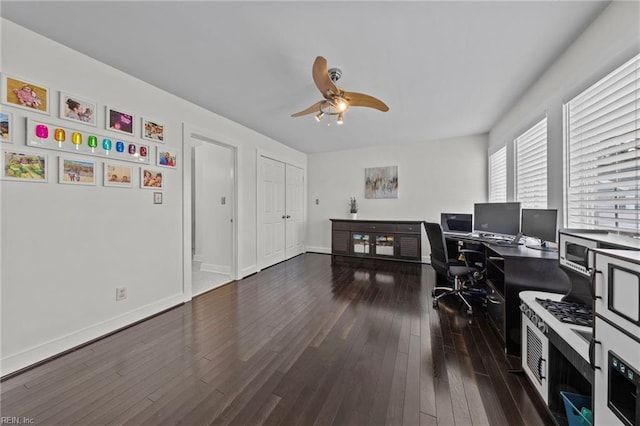 home office with ceiling fan and dark hardwood / wood-style flooring