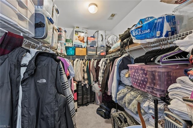 spacious closet featuring carpet floors