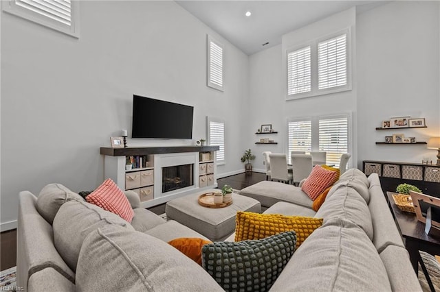 living room featuring hardwood / wood-style flooring and a high ceiling