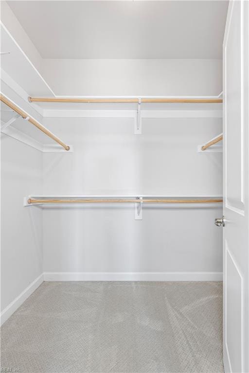 spacious closet featuring light colored carpet