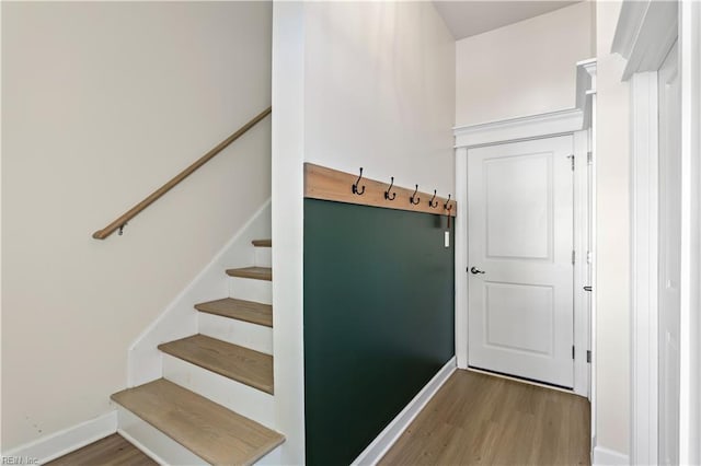 mudroom with wood-type flooring