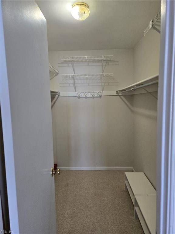 spacious closet with carpet