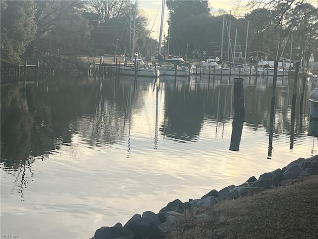 water view featuring a boat dock