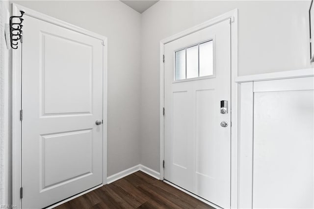 entryway featuring dark wood-type flooring