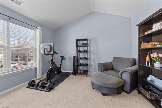 exercise room featuring carpet floors and vaulted ceiling