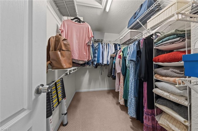 walk in closet with carpet flooring