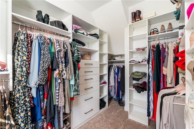 spacious closet featuring light colored carpet