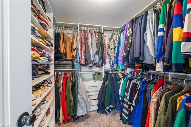 spacious closet featuring carpet flooring