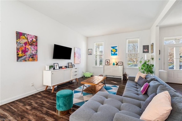 living room with wood-type flooring and a wealth of natural light