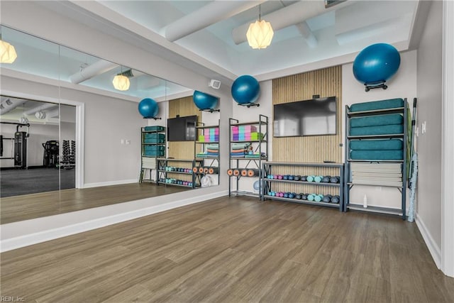 exercise room featuring hardwood / wood-style flooring