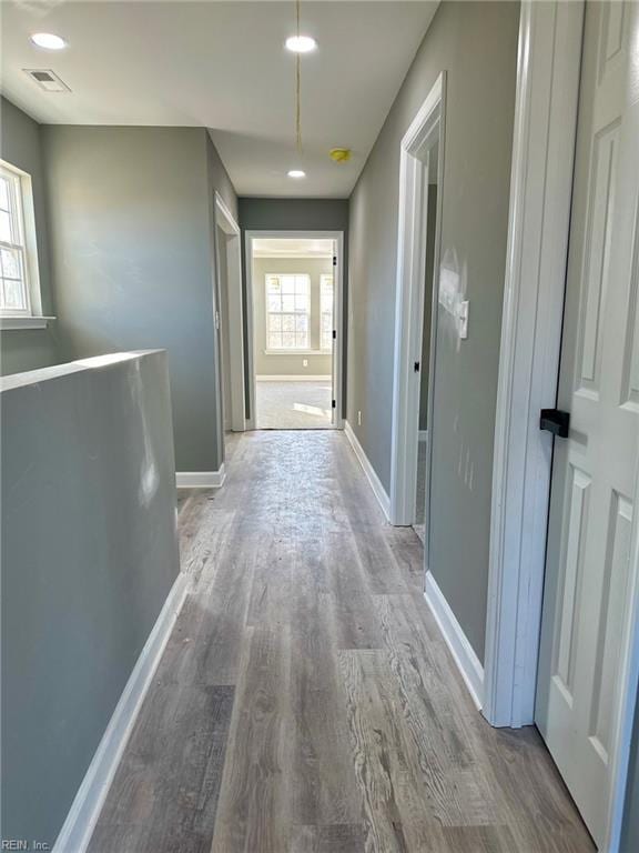 hall featuring wood-type flooring and a wealth of natural light