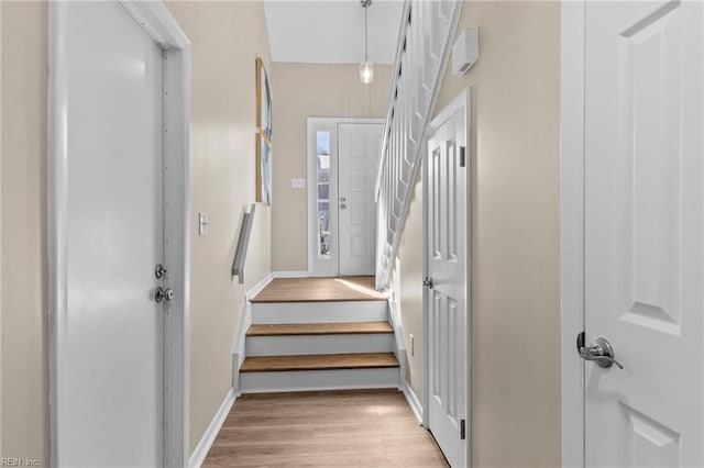 staircase with hardwood / wood-style flooring